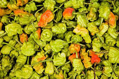 东方同人STG《东方梦无垠》Steam页面上线 支持中文